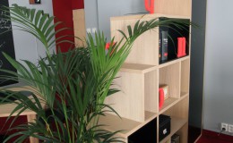 RM Office 10